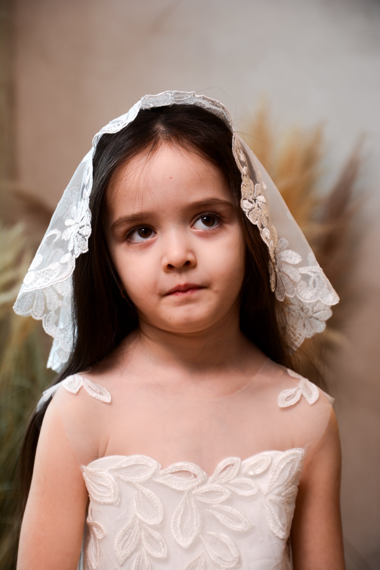 SHORT WHITE VEIL